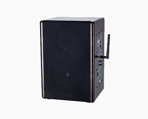 LAX SK-9523 數(shù)字網(wǎng)絡(luò)監(jiān)聽(tīng)音箱